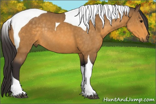 Horse Color:Buckskin Tobiano Rabicano