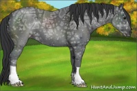 Horse Color:Black Ice 