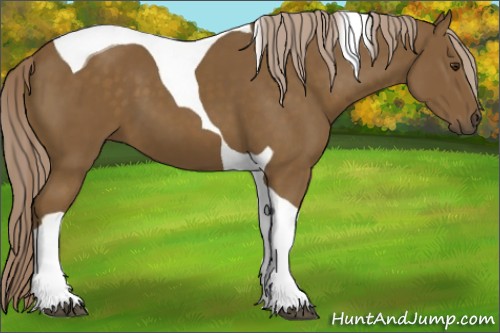 Horse Color:Chocolate Palomino Tobiano 