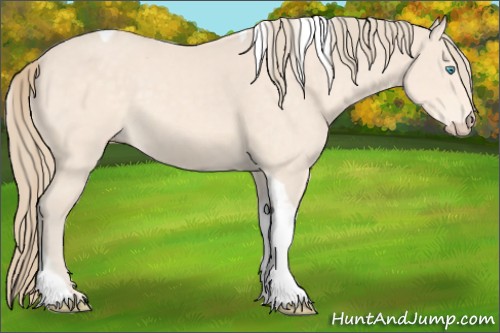 Horse Color:Perlino Tobiano