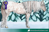 Horse Color:White Spotted Chocolate Bay Tobiano Snowflake Varnish