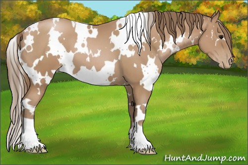 Horse Color:White Spotted Black Pearl 