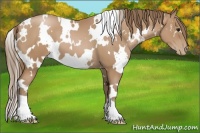 Horse Color:White Spotted Black Pearl 