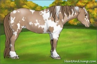 Horse Color:White Spotted Black Pearl