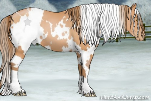 Horse Color:White Spotted Bay Pearl 