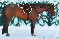 Horse Color:Bay Roan 