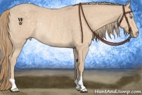 Horse Color:Perlino Rabicano