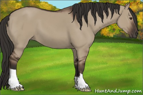 Horse Color:Liver Red Dun 