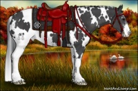 Horse Color:White Spotted Black Sabino 