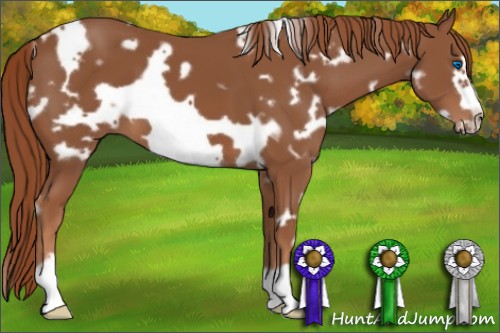 Horse Color:White Spotted Chestnut Frame 