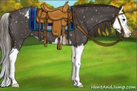 Horse Color:Smoky Blue Roan Splash Appaloosa