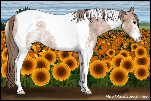 Horse Color:White Spotted Black Pearl Tobiano Rabicano 