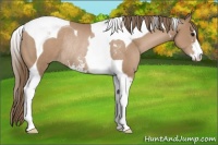 Horse Color:Black Pearl Sabino Tobiano Rabicano 
