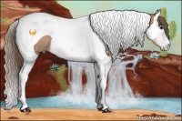 Horse Color:Black Pearl Sabino Splash Tobiano Rabicano 