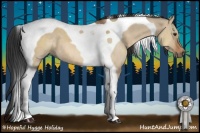 Horse Color:Bay Dun Tobiano 