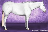Horse Color:Bay Pearl Splash Tobiano Varnish