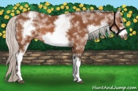 Horse Color:White Spotted Silver Bay Frame 