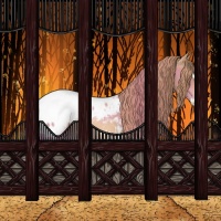 Horse Color:Gold Champagne Sabino Splash Appaloosa 