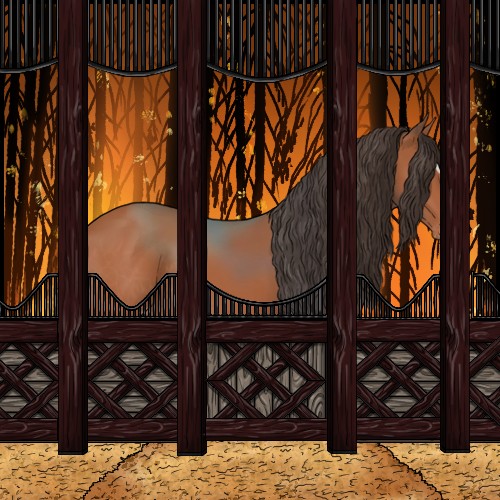 Horse Color:Bay Sabino Appaloosa Rabicano 