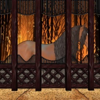 Horse Color:Bay Sabino Appaloosa Rabicano 