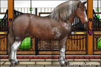 Horse Color:White Spotted Liver Chestnut Snowflake Varnish 