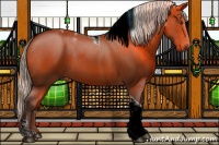 Horse Color:Silver Bay Tobiano 