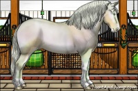 Horse Color:Watercolor Silver Buckskin Pearl Onyx 