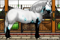 Horse Color:Silver Perlino Ice Sabino 