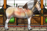 Horse Color:Buckskin Onyx Tobiano Varnish 