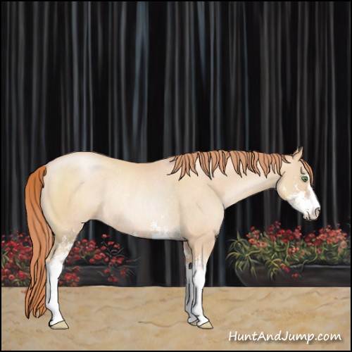 Horse Color:Classic Champagne Pearl Sabino Rabicano