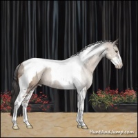 Horse Color:Classic Champagne Sabino Tobiano