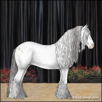 Horse Color:White Spotted Classic Champagne 