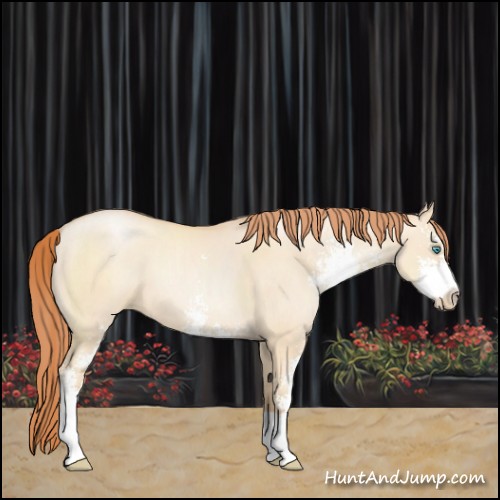 Horse Color:Sable Champagne Pearl Dun Sabino 