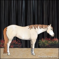 Horse Color:Sable Champagne Pearl Dun Sabino