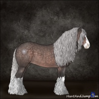 Horse Color:Platinum Silver Brown Sabino Splash
