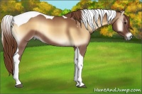 Horse Color:Red Onyx Tobiano 