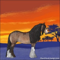 Horse Color:Brown Dun Brindle 