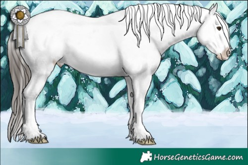 Horse Color:Liver Red Dun Sabino Snowcap