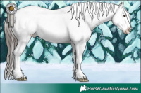 Horse Color:Liver Red Dun Sabino Snowcap 