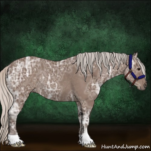 Horse Color:Silver Black Ice Rabicano 