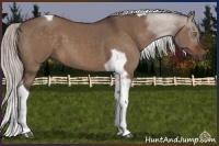 Horse Color:Silver Brown Dun Tobiano 