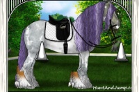 Horse Color:Painted White Spotted Black Ice Rabicano