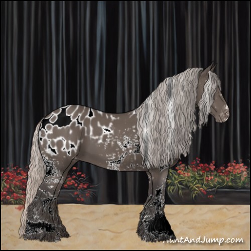 Horse Color:White Spotted Silver Black Appaloosa 