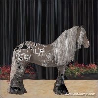 Horse Color:White Spotted Silver Black Appaloosa 