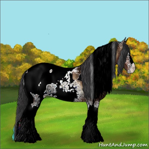 Horse Color:White Spotted Bay Ice Onyx Tobiano Appaloosa
