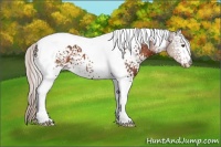 Horse Color:White Spotted Silver Brown Tobiano