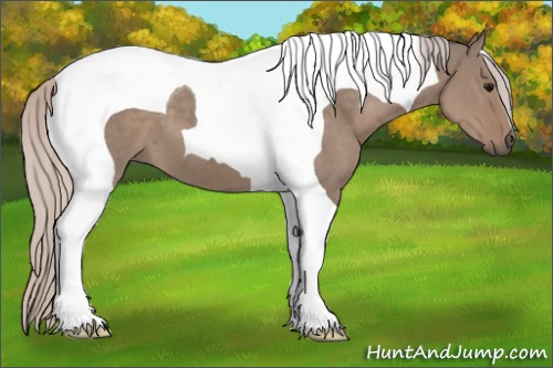 Horse Color:Silver Grullo Tobiano 