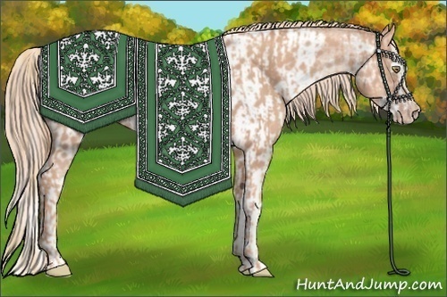 Horse Color:Gold Champagne and Gold Champagne Splash Near Leopard