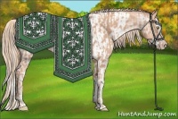 Horse Color:Gold Champagne  and Gold Champagne Splash Near Leopard 