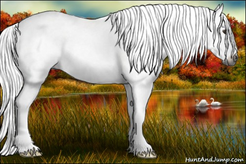 Horse Color:Gray Chestnut Sabino